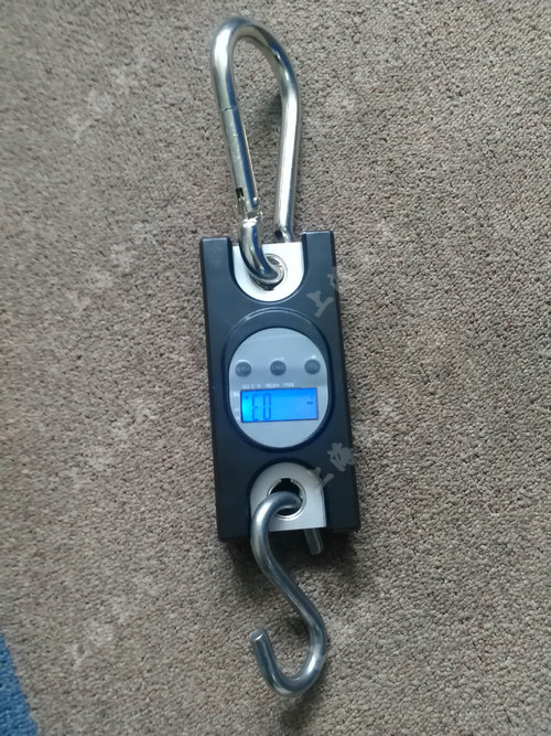 SGKС���̟o������Ӌ